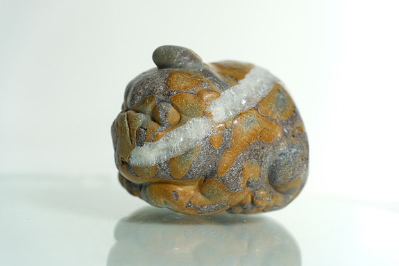 Product image 16 of 19