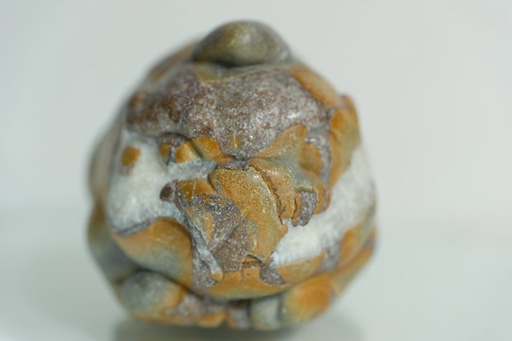 Product image 6 of 19