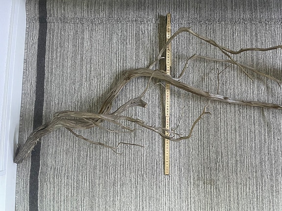 Product image 2 of 11