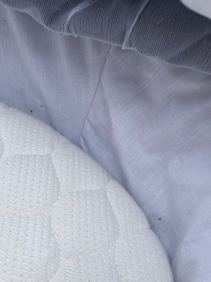 Product image 12 of 13