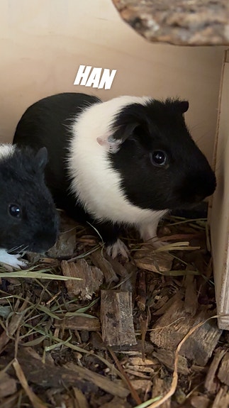 Product image 5 of 11