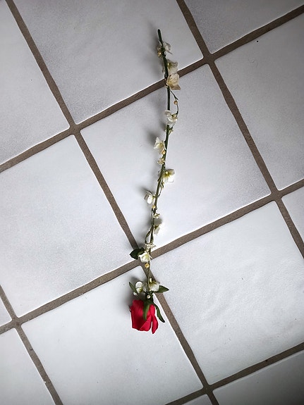 Product image 5 of 18