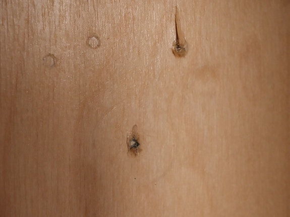 Product image 11 of 12