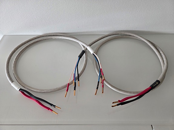 Used tara labs prism bi for Sale | HifiShark.com