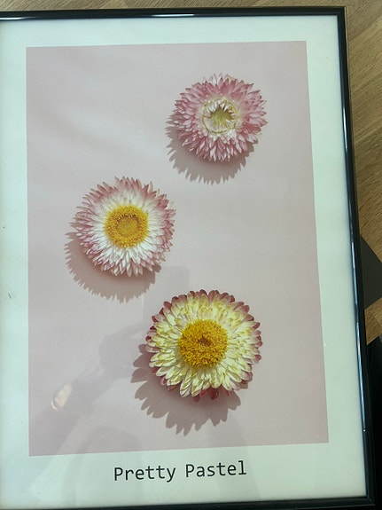 Product image 11 of 13