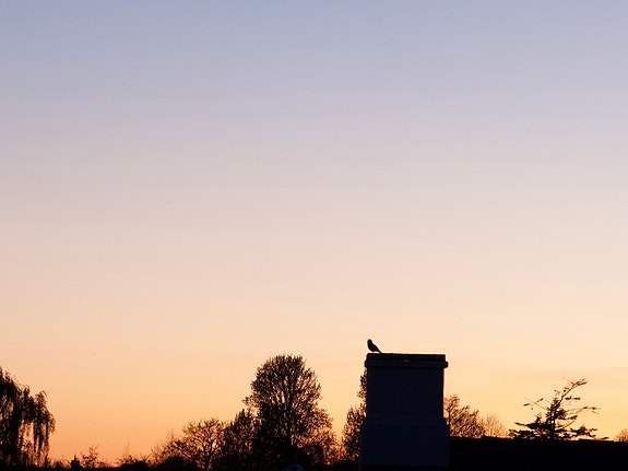 Product image 16 of 17