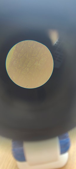 Product image 9 of 11