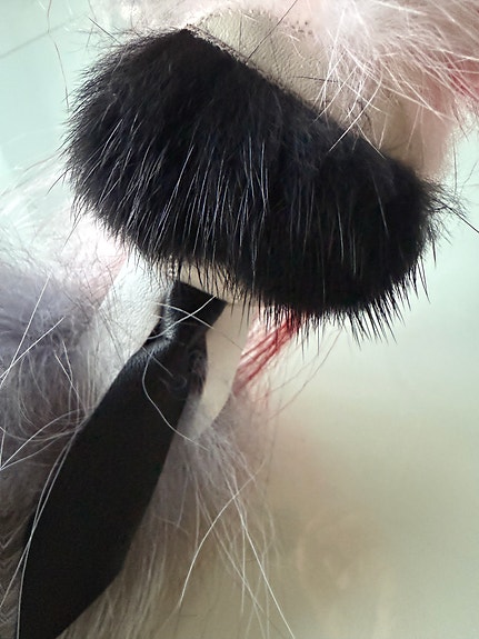 Product image 12 of 14