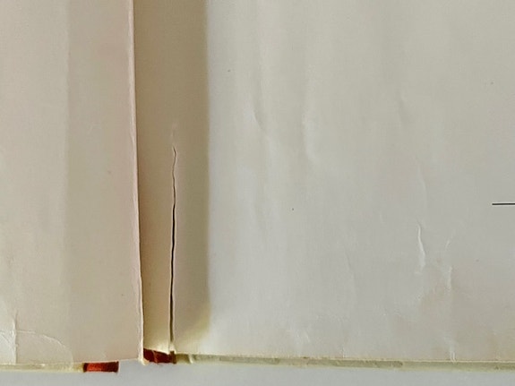 Product image 4 of 19