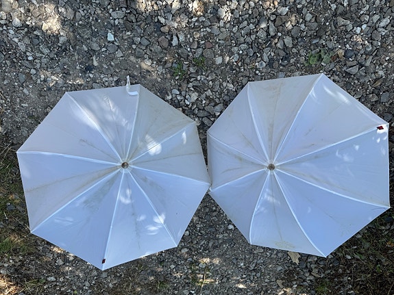 Product image 4 of 12
