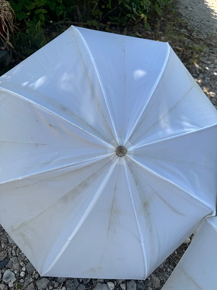 Product image 6 of 12