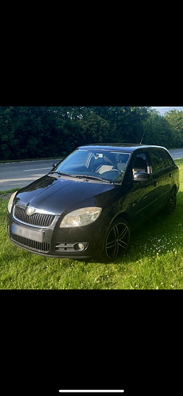 Skoda Unknown