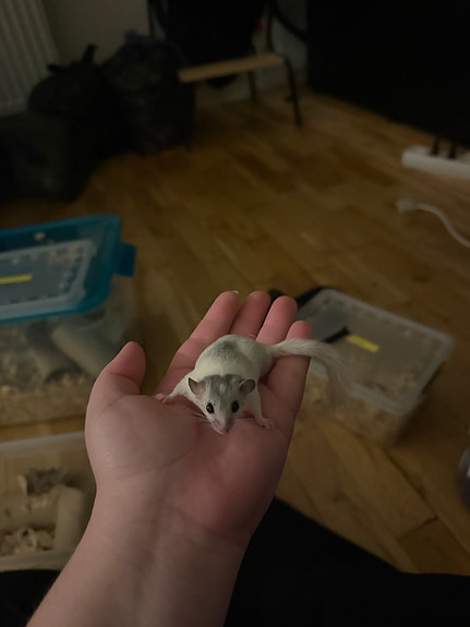 Product image 10 of 10
