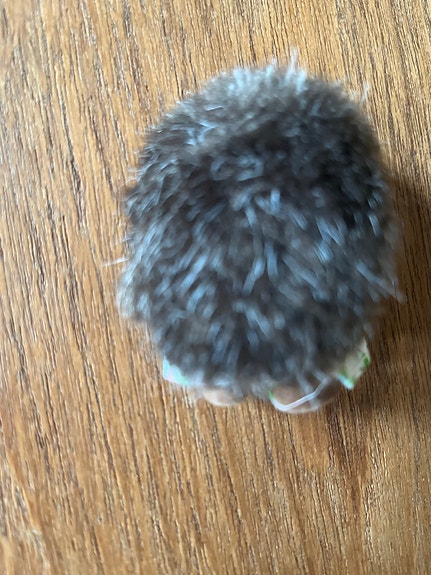 Product image 5 of 9