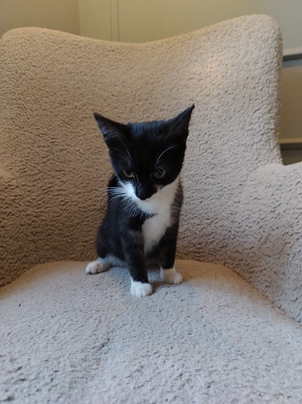 Product image 3 of 8