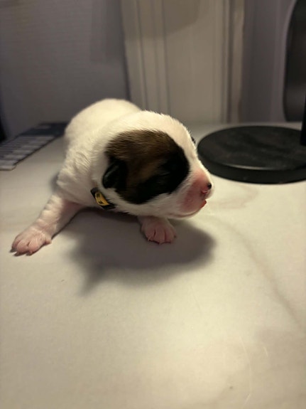 Product image 15 of 23