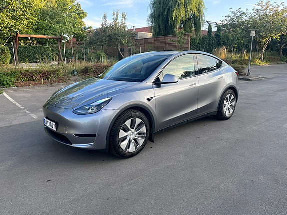 Tesla Unknown