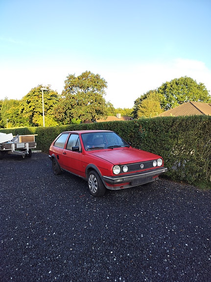 VW Polo