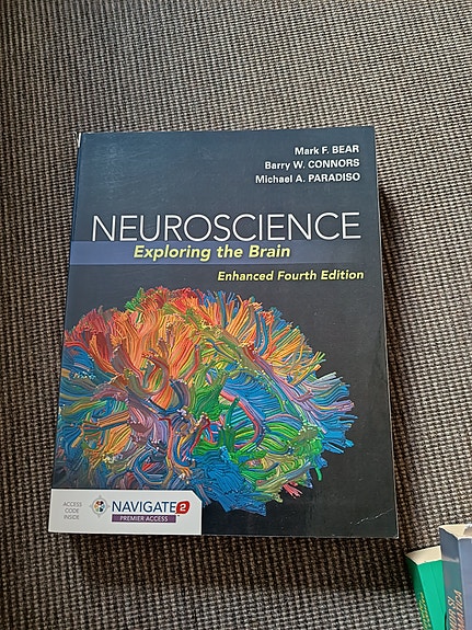Neuroscience - Exploring the brain | DBA