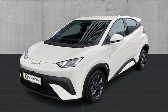 BYD Dolphin Surf