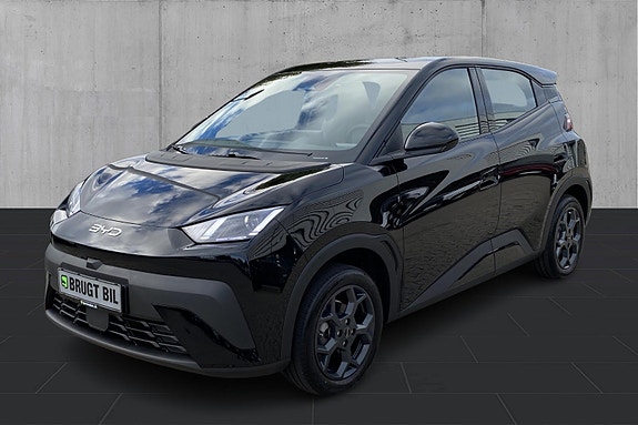 BYD Dolphin Surf