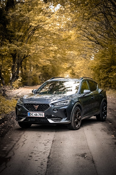 Cupra Unknown
