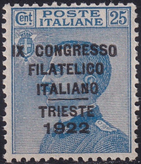 Italien Kongerige 1922 - Trieste-kongressen 25 c. azzurro Sass 125 meget vel cen