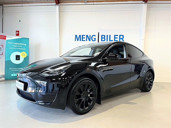 Tesla Unknown
