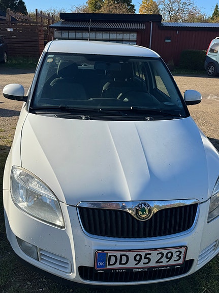 Skoda Unknown