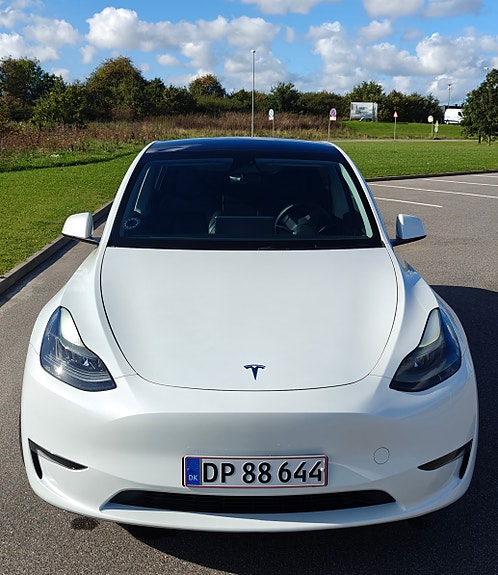Tesla Unknown