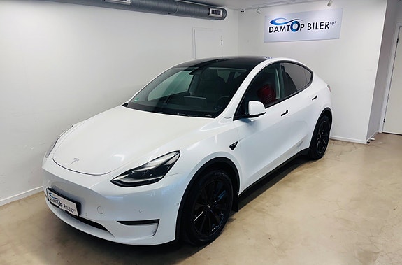 Tesla Unknown