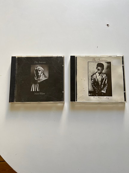 The auteurs - new wave og now i am a cowboy
