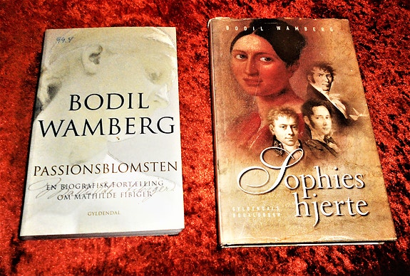 Passionsblomsten m.fl, Bodil Wamberg🔹Biografisk roman