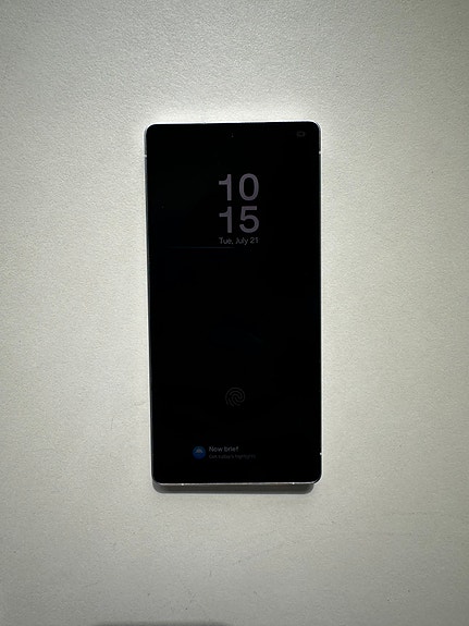Samsung Galaxy S25 Ultra 256 GB grå