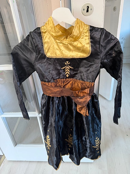 Disney Anna costume