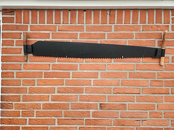Skovsav
