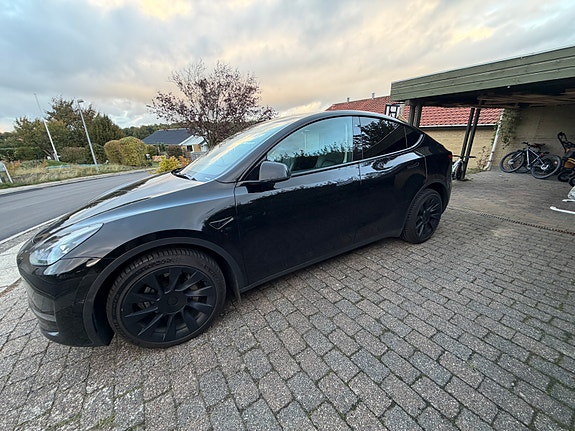 Tesla Unknown