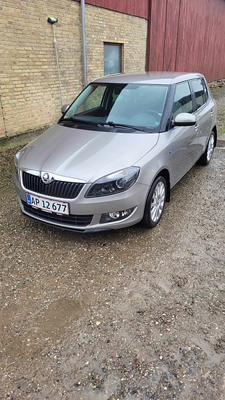 Skoda Unknown