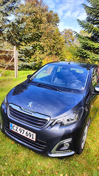 Peugeot Unknown