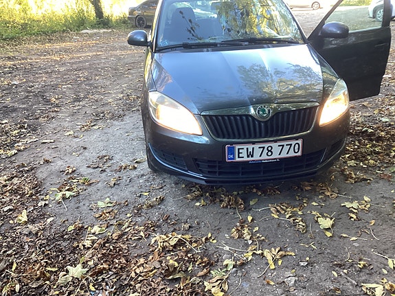 Skoda Unknown