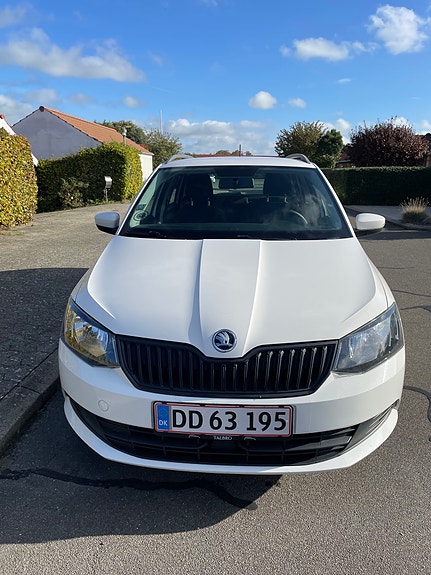 Skoda Unknown