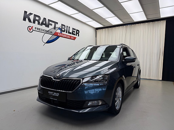 Skoda Unknown