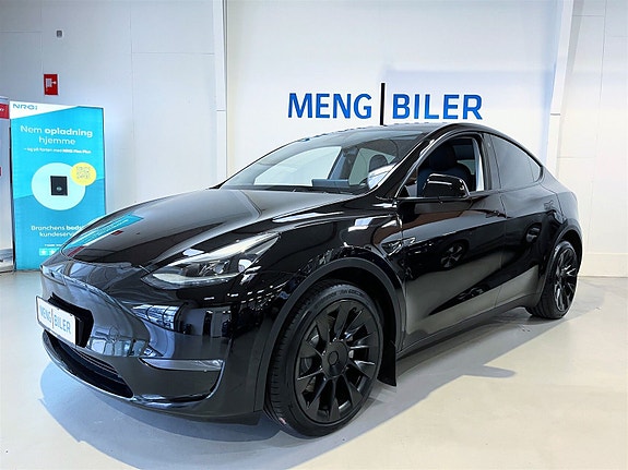 Tesla Unknown