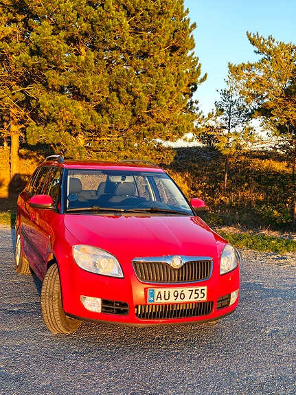 Skoda Unknown