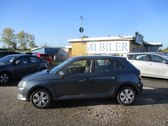 Skoda Unknown