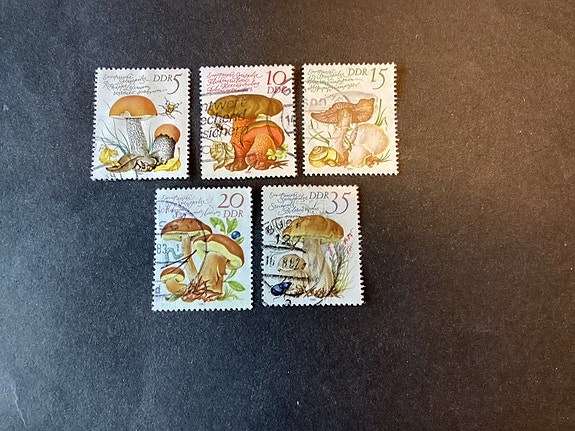 DDR sæt svampe afanr 2246-50