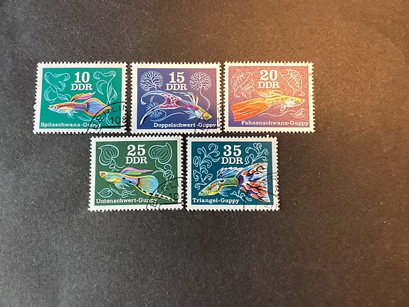 DDR sæt fisk afanr 1898-1902
