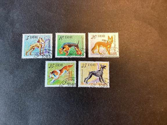 DDR sæt hunde afanr 1877-81
