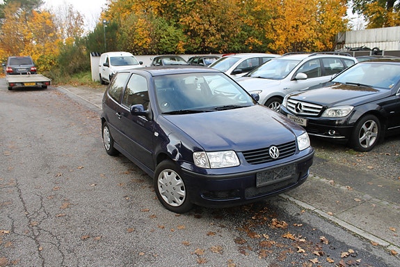 VW Polo