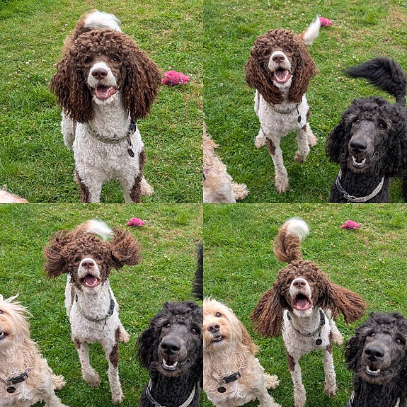 Product image 8 of 10